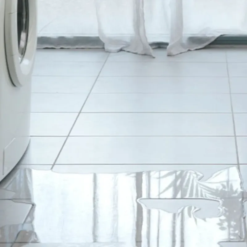 Appliance Leak Cleanup in Elwood, KS