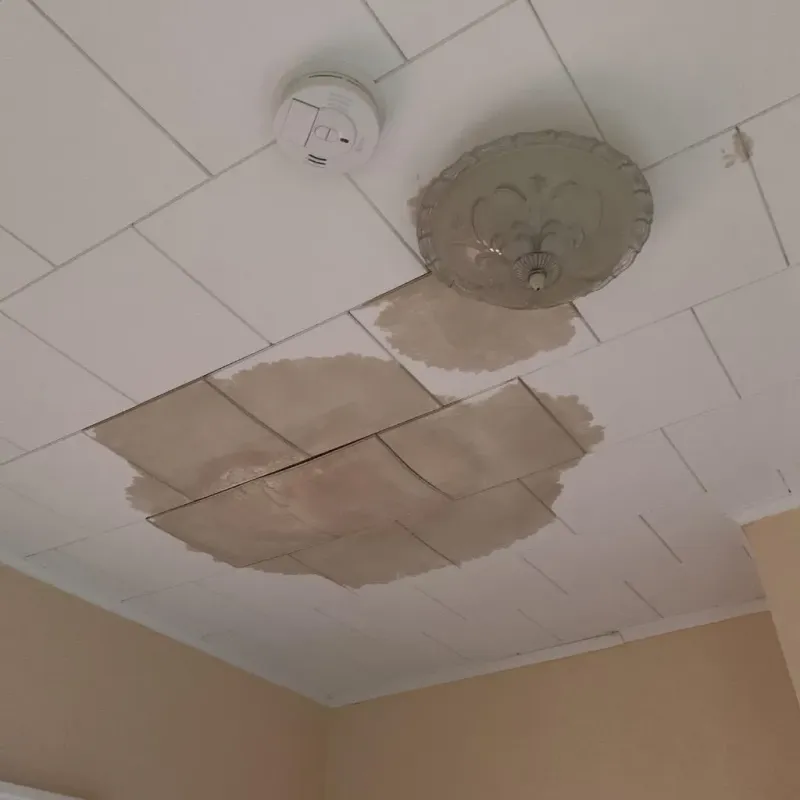 Ceiling Water Damage Repair in Elwood, KS