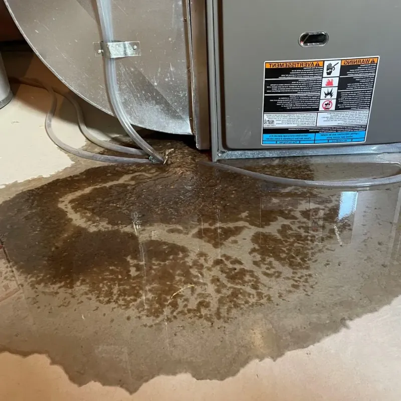 Pipe Burst and Leak Restoration in Elwood, KS