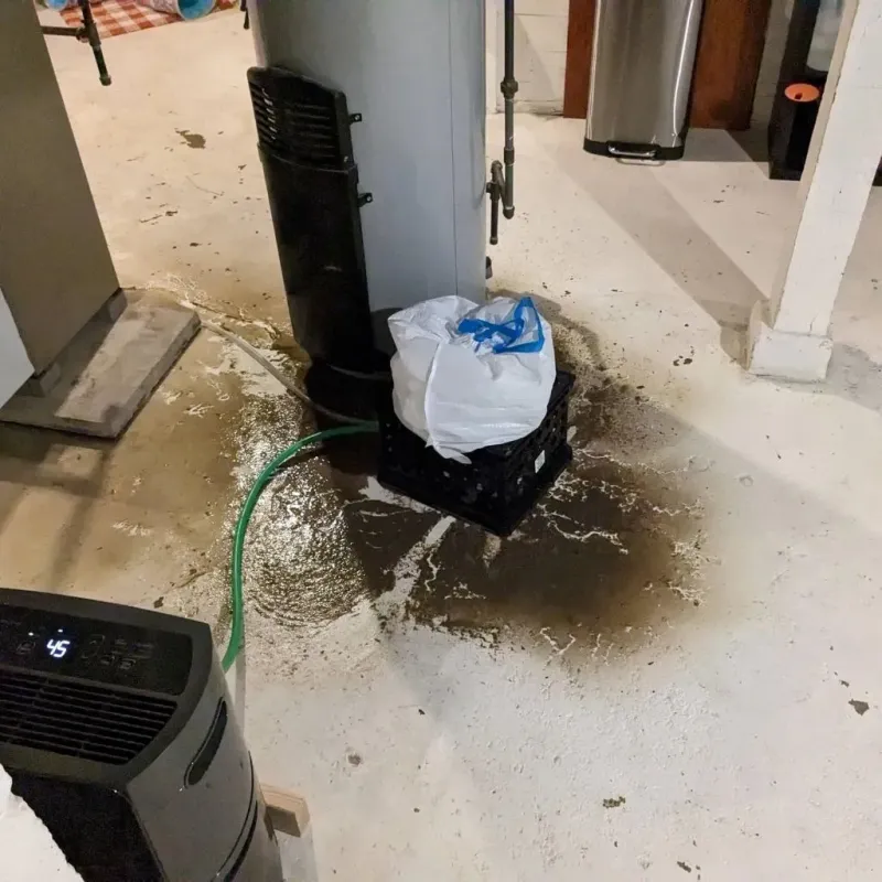 Sewage Backup Cleanup Service in Elwood, KS